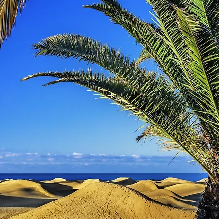Vakantiehuis In Palmas Near Playa De Canteras *